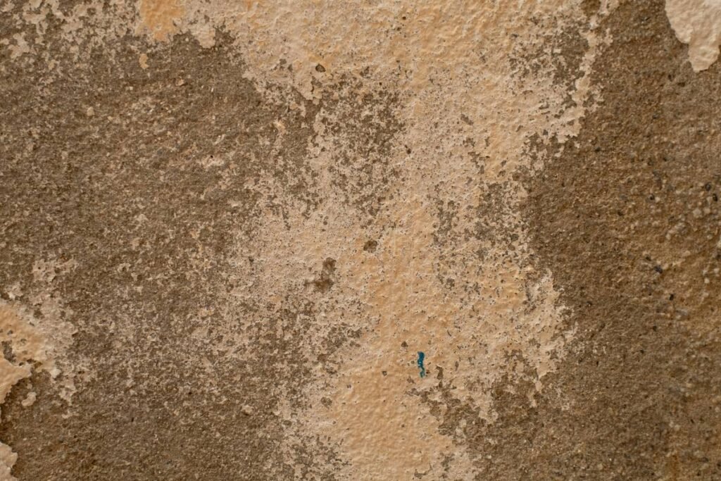 Respiratory Health Concerns and Your Home: Why Mold Insurance Shouldn’t Be an Afterthought