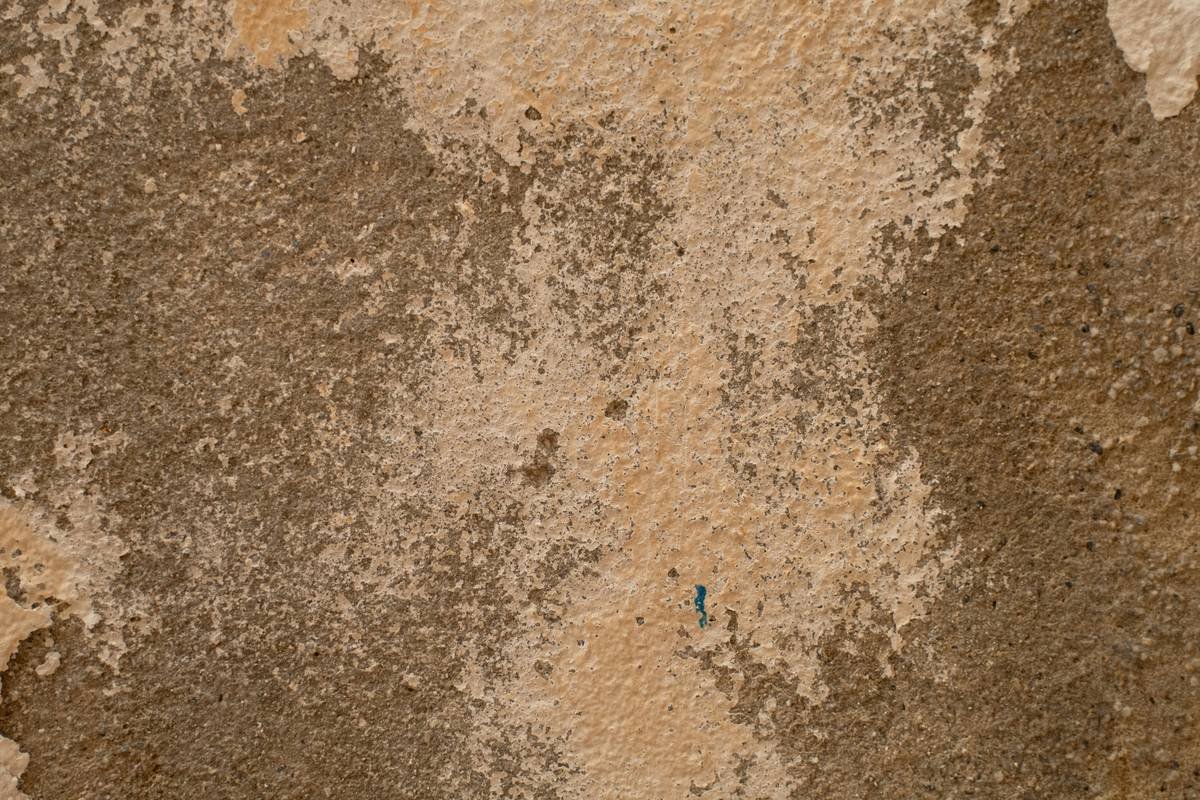 Respiratory Health Concerns and Your Home: Why Mold Insurance Shouldn’t Be an Afterthought