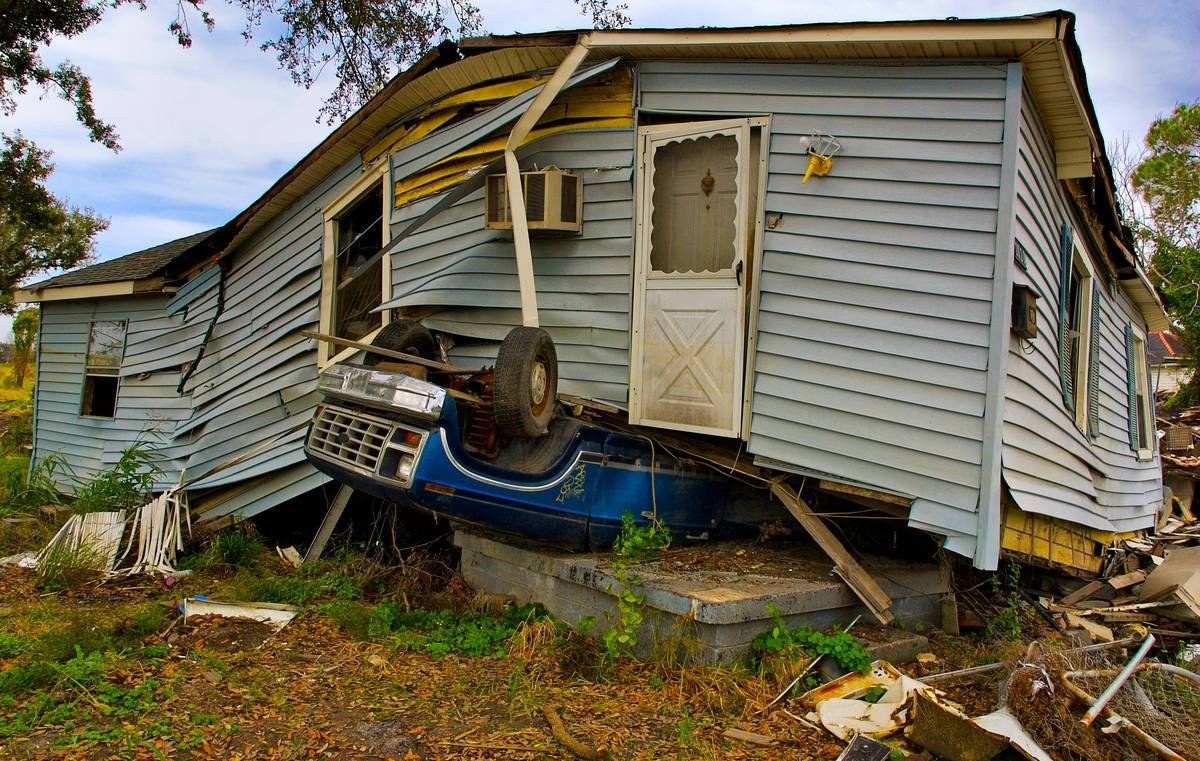 Structural Repairs Due to Mold: What Your Home Insurance Won’t Tell You (But Should)