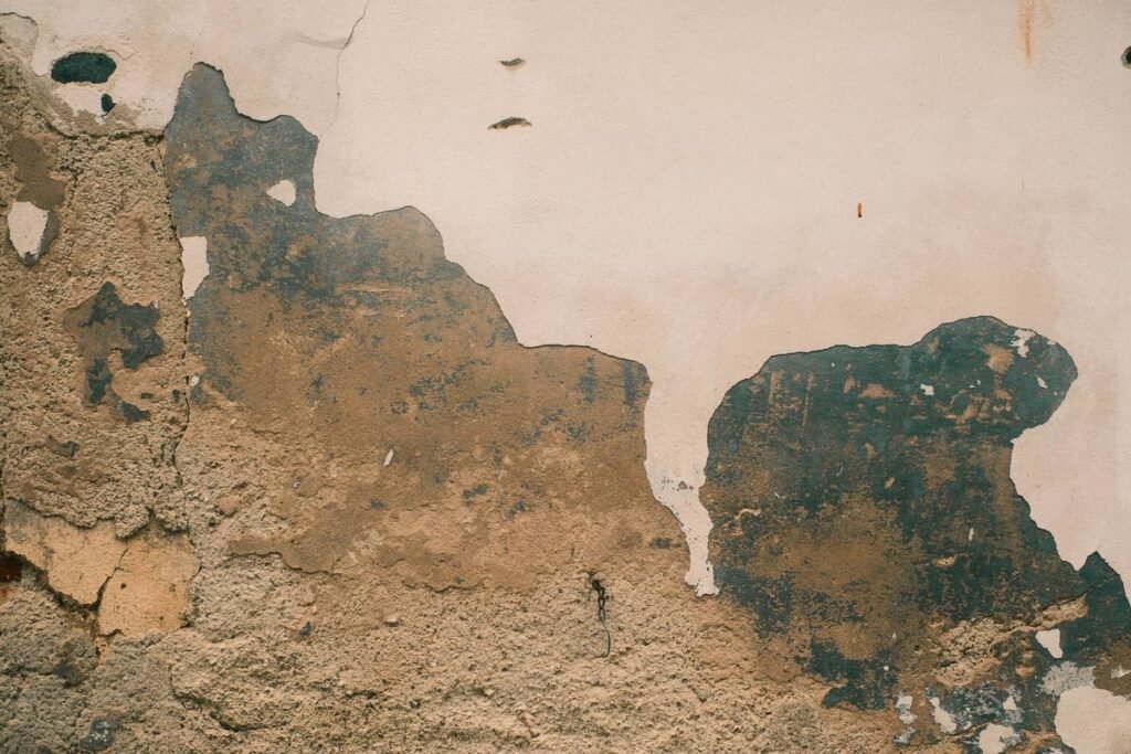 What Mold Allergy Symptoms Mean for Your Health—and Your Home Insurance