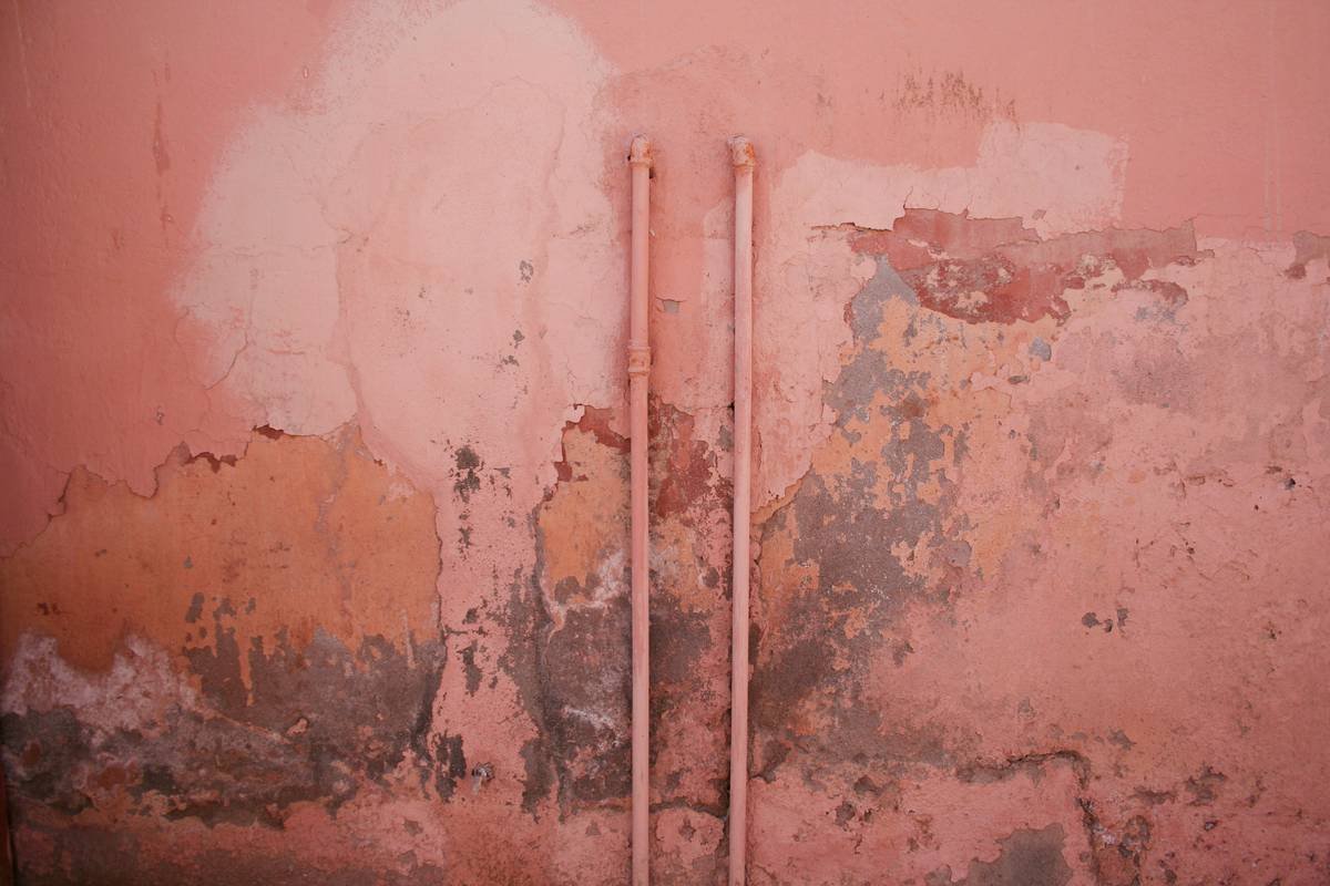Bar chart showing 72% of mold-related insurance claims denied due to lack of preventive maintenance