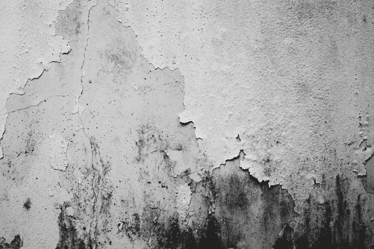 Black Mold Symptoms: What They Mean for Your Health—and Your Home Insurance