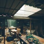 Dehumidifier Mold Use: When It Helps, When It Doesn’t—and What Your Insurance Really Covers