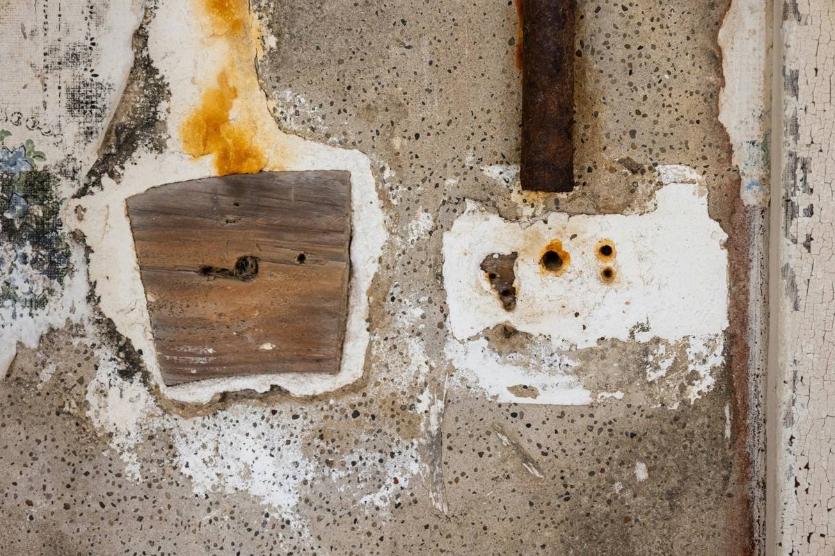 Flowchart showing when mold is covered vs excluded under standard homeowners insurance