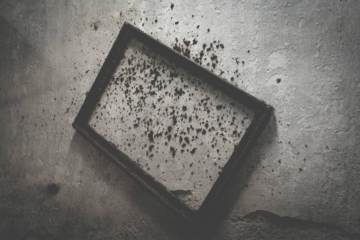 How Poor Ventilation Mold Home Issues Can Wreck Your Budget—And What Your Insurance (and Credit Card) Won’t Tell You
