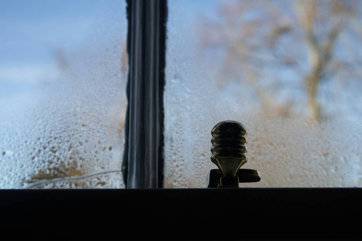 Humidity Control Tips That Actually Prevent Mold—And Save Your Home Insurance Claim