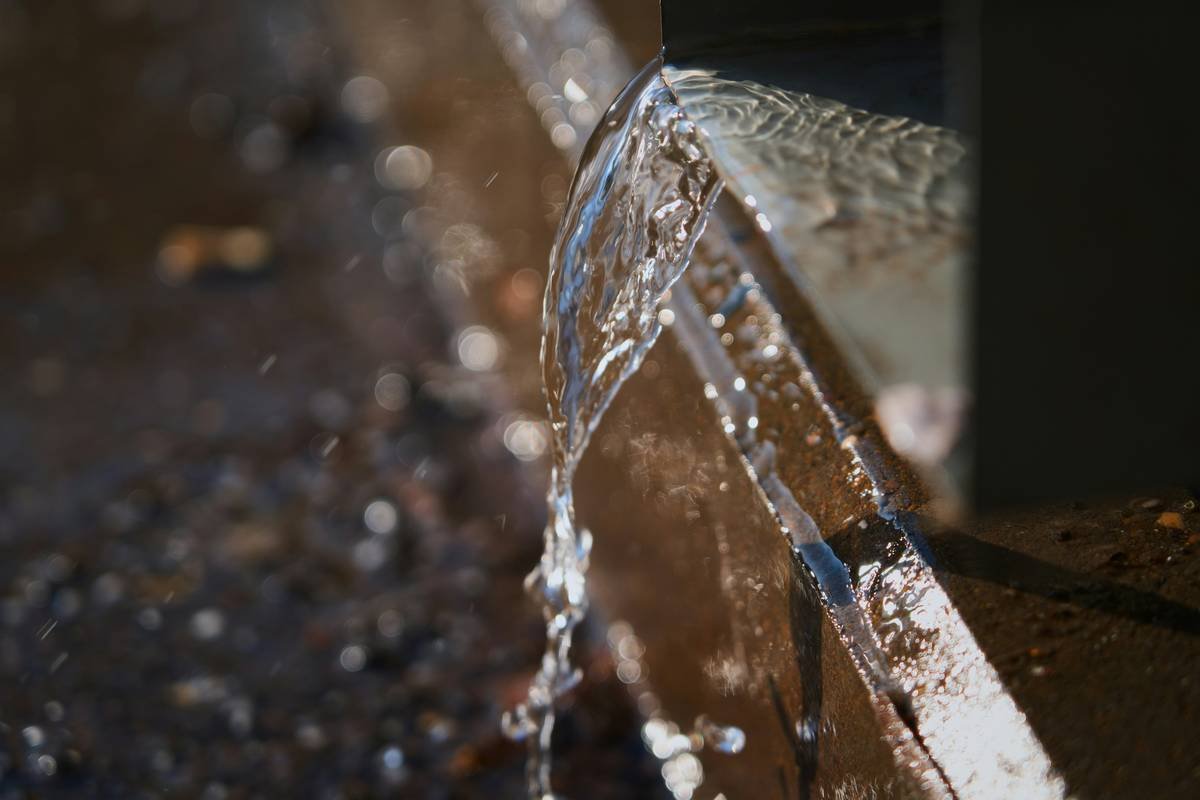 Moisture Control Mold: Why Your Home Insurance Isn’t Enough (And What to Do Next)