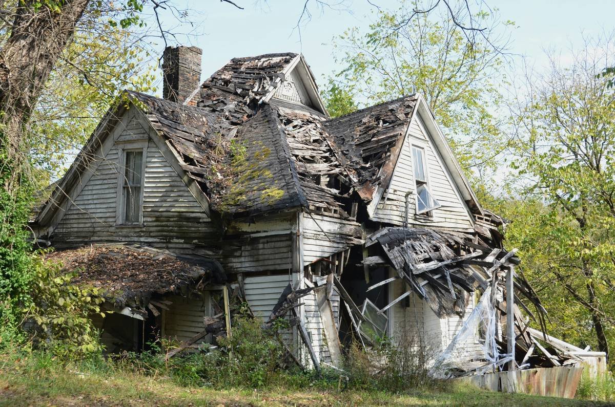 Why Your Home Insurance Might Not Cover Mold—And Why Mold Health Risk Assessments Could Save Your Health (and Wallet)