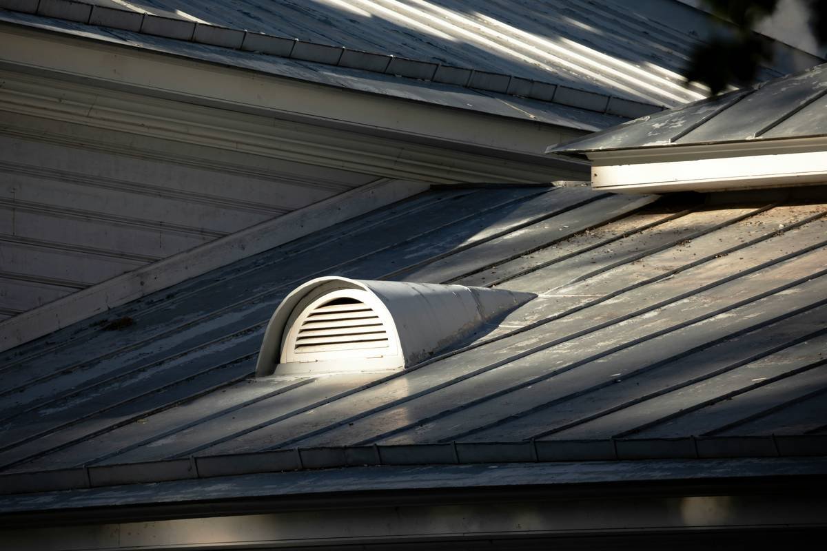 Attic Mold Prevention: Why Your Home & Wallet Are on the Line (And How to Stop It Before It Starts)