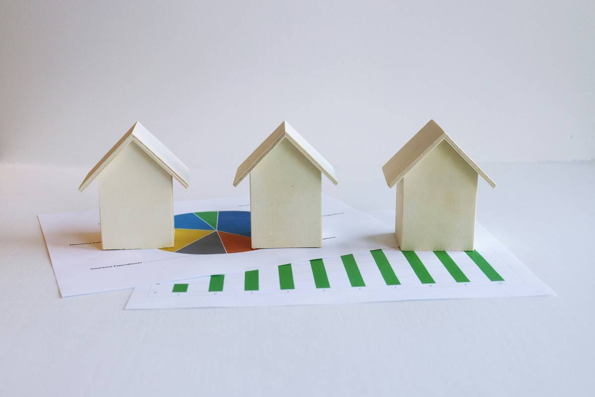Does Your Home Insurance Include Coverage Mold Prevention? Here’s What You’re Missing