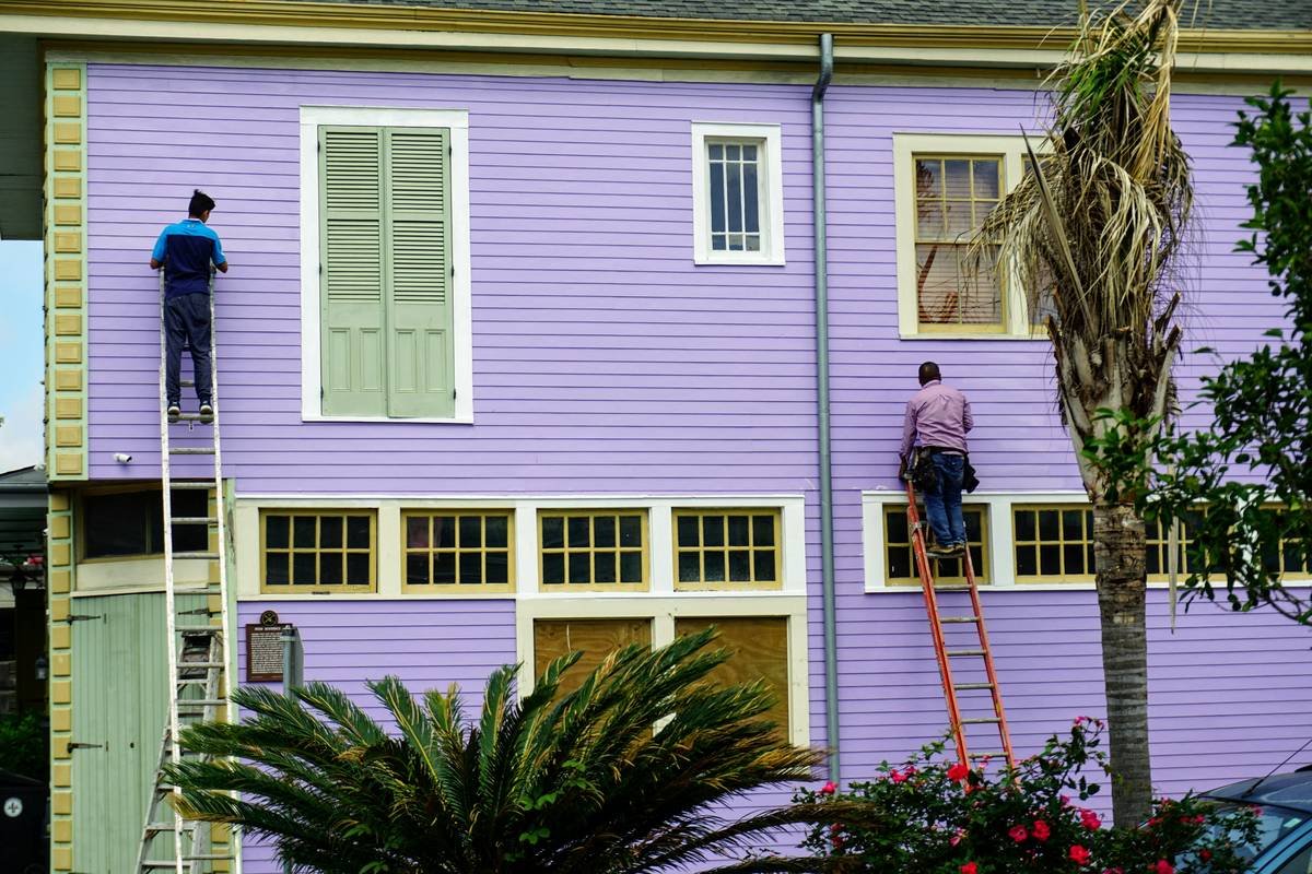 How Cleaning Prevent Mold—and Why Your Insurance Might Not Care