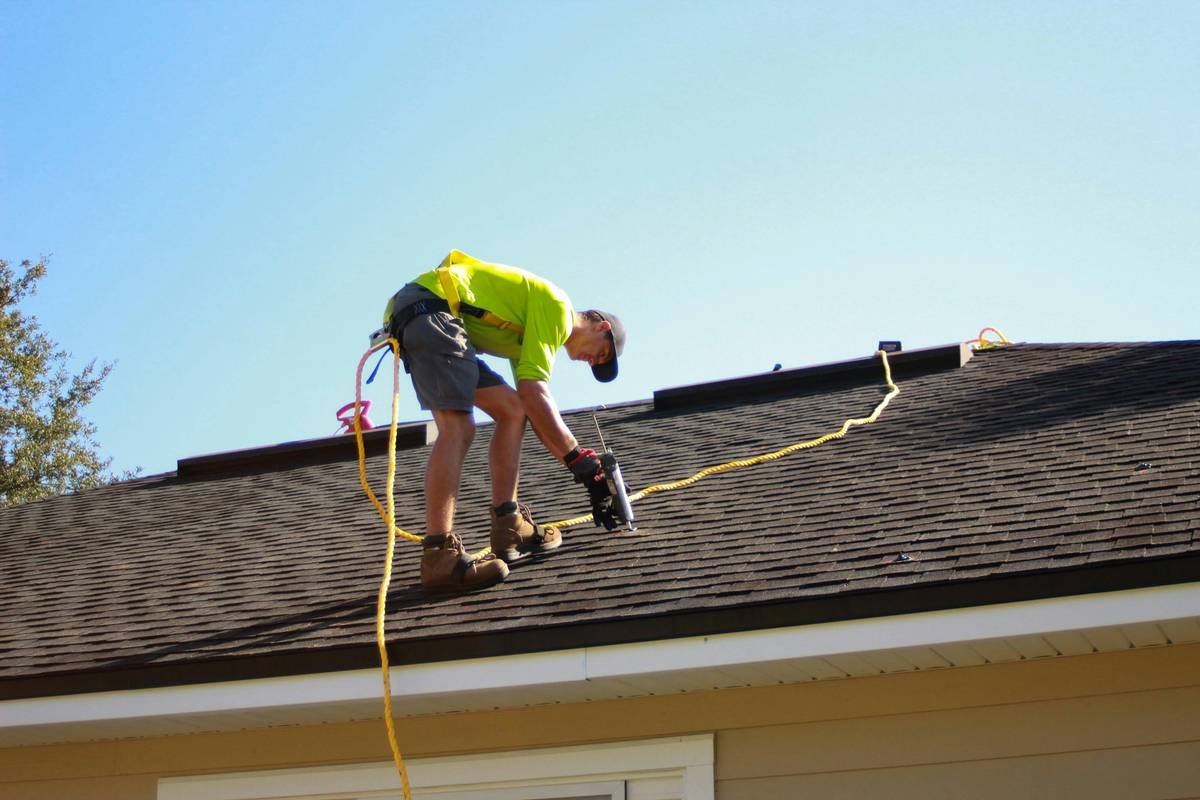 How to Master Budget Mold Prevention Without Blowing Your Insurance (or Sanity)