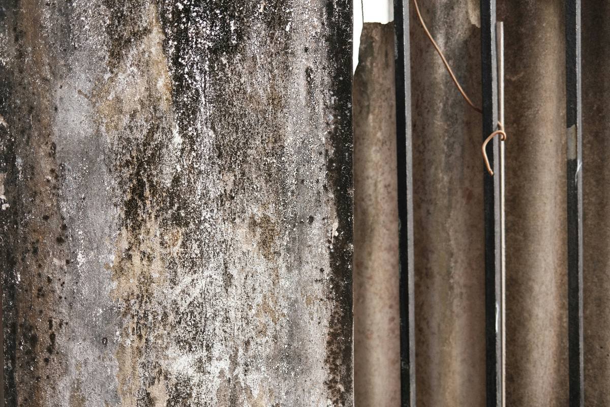 Is Nausea Mold Health Ruining Your Home—and Wallet? What Your Insurance Isn’t Telling You