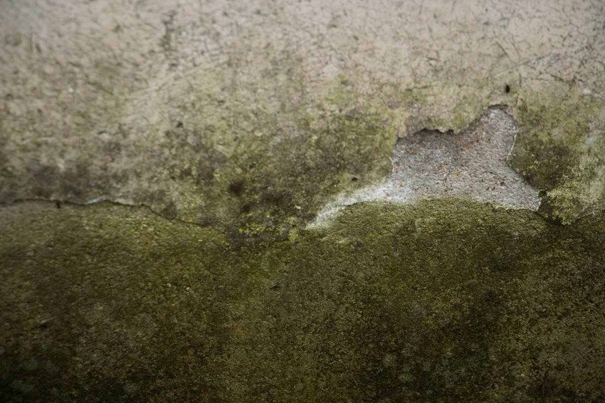 Is Organic Toxic Dust Covered by Your Mold Insurance? What Maryland Homeowners Must Know
