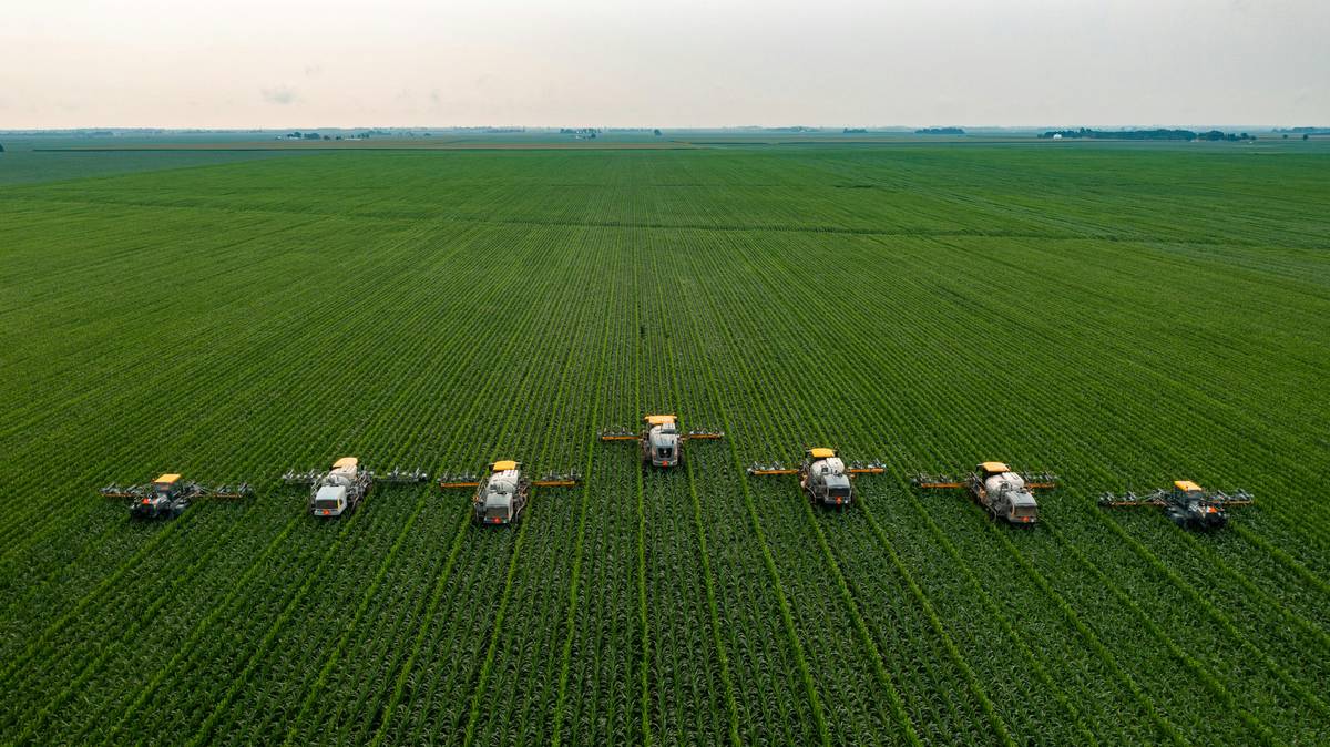 Farm Coverage: Hail-damaged cornfield with broken stalks and visible ice pellets on soil