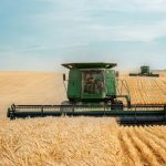 Farm Coverage: 7 Proven Tips to Avoid Costly Hail Insurance Mistakes