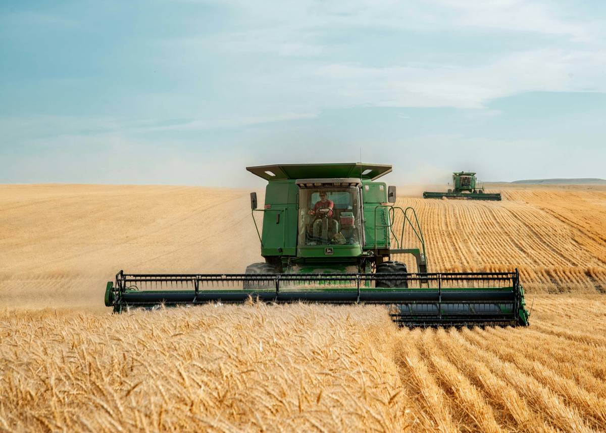 Farm Coverage: 7 Proven Tips to Avoid Costly Hail Insurance Mistakes